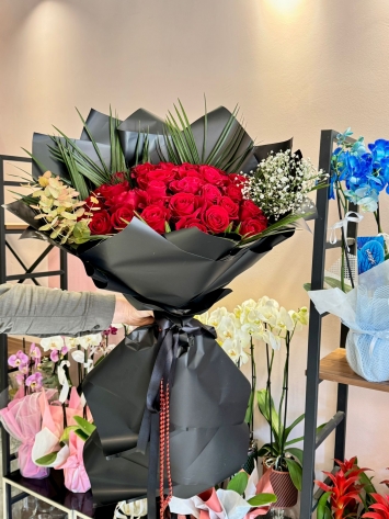 Siyahın Asaletinde Kırmızı Güllerin Aşk Dolu Dansı