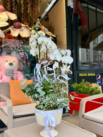 Çok Dallı Beyaz Orkide Aranjmanı