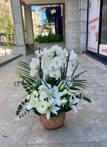 Zarafetin Sembolü: Beyaz Orkide ve Lilyum