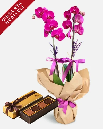 Zarafetin ve Asaletin Sembolü