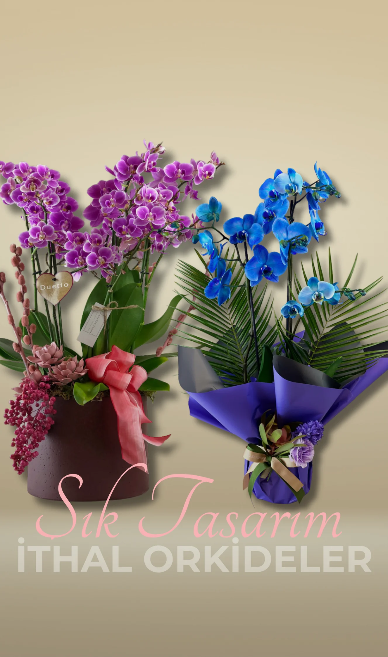https://www.eylulflowers.com/
